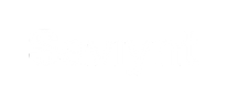 Saviynt (2)